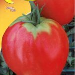 Semillas De Tomate Corazón De Buey