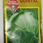 Semillas de Repollo Quintal