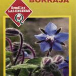 Semillas de Borraja