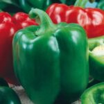 Semillas de Pimiento California Wonder 300 TMR 100 Grs