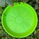 Plato Para Macetero Redondo P35 de Color Verde Oscuro