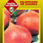 Cebolla Valenciana