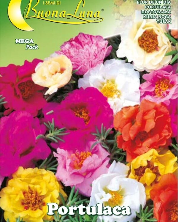 Semillas De Portulacca Grandiflora Doble Mix