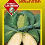 Semillas de Repollo Blanco Corazón de Buey Grande 100 Grs