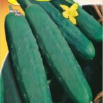 Semillas De Pepino Marketmore
