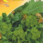 Semillas De Nabo Superior 40 °