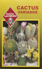 Cactus Variado