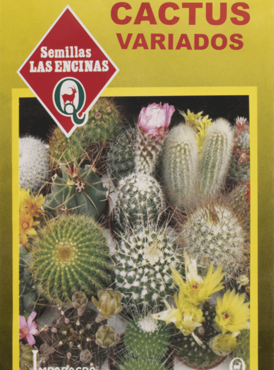 Cactus Variado