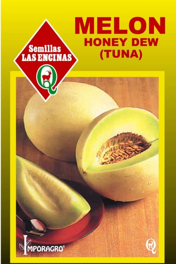 Melon Tuna Honey Dew