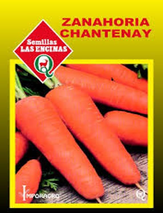 Zanahoria Chantenay Red Cored