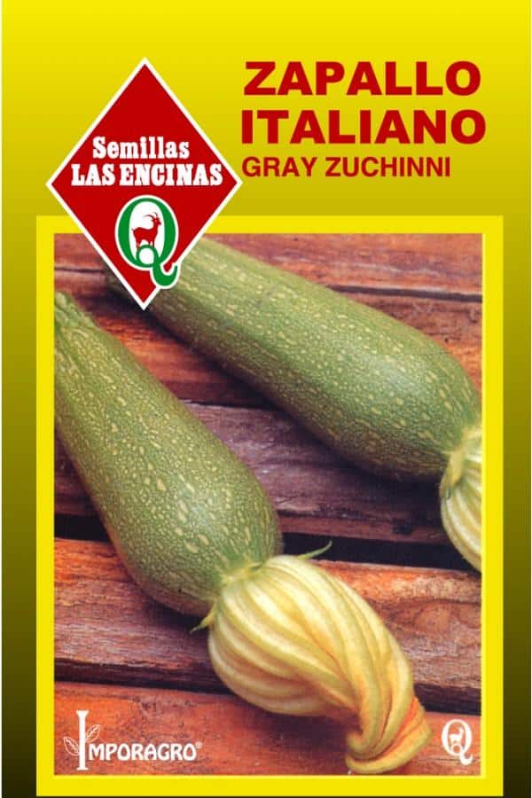 Zapallito Italiano Grey Zucchini