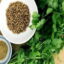 Semillas de Cilantro Long Standing Semilla Entera 1 Kilo