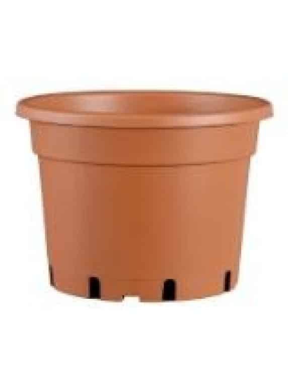 Rápido crecimiento, plantas sanas, excelente maquinabilidad: Pöppelmann TEKU® no sólo distingue la gama de productos líder, sino que también ofrece la solución óptima para su cultivo con su serie MCD. Y gracias a su excelente capacidad de suministro, Pöppelmann TEKU® es su socio fiable en todo momento, incluso durante la temporada alta.