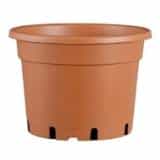 Rápido crecimiento, plantas sanas, excelente maquinabilidad: Pöppelmann TEKU® no sólo distingue la gama de productos líder, sino que también ofrece la solución óptima para su cultivo con su serie MCD. Y gracias a su excelente capacidad de suministro, Pöppelmann TEKU® es su socio fiable en todo momento, incluso durante la temporada alta.