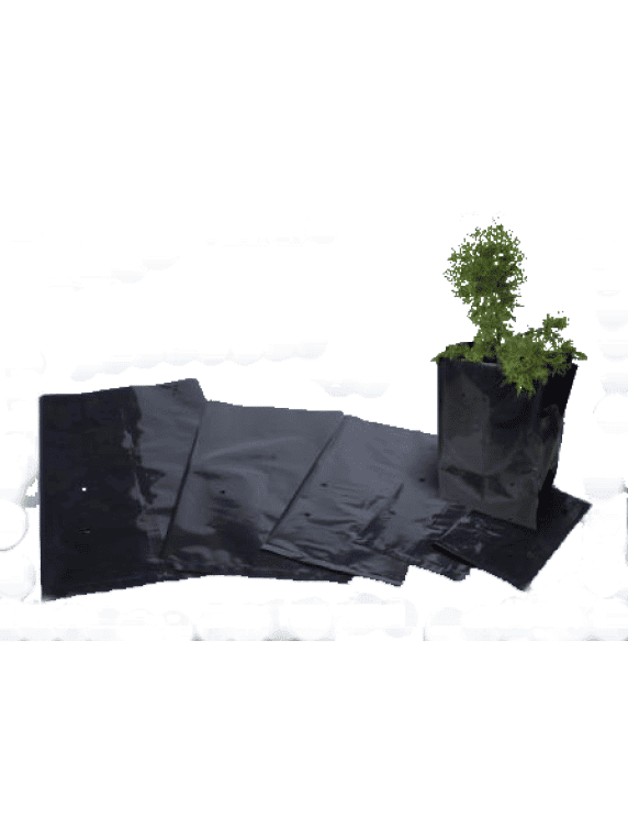 Bolsa Plástica para Almácigo y Plantas de 12x12 - 50 unidades 2