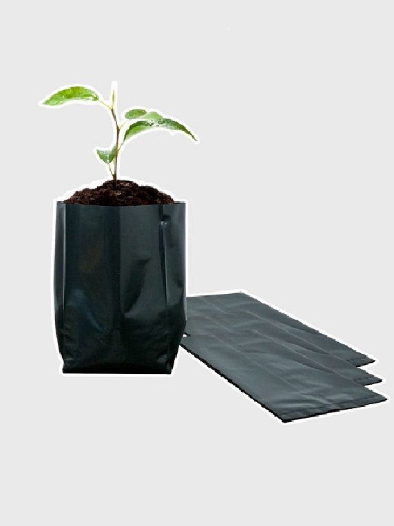Bolsa Plástica para Almácigo y Plantas