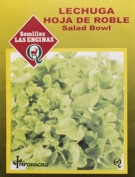 Lechuga Hoja De Roble Salad Bowl