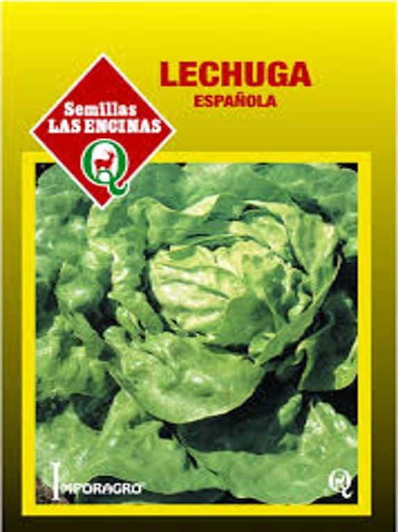 Lechuga Española