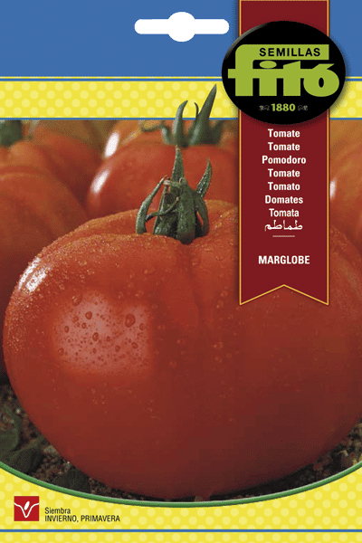 Semillas Fitó de Tomate Marglobe
