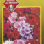 Semillas de Phlox Colores Variados 
