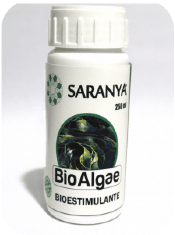 BIOALGAE Huertos Alma