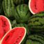 Sandia Klondike Blue Ribbon (env. por Semillas Music)