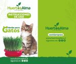 Kit de Cultivo de Hierba de Gato - Huertos Alma