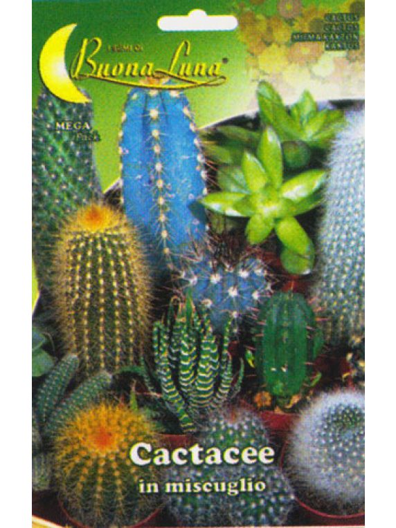 Semillas De Cactus Variado