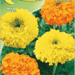 Semillas De Tagete Media Alta Mix