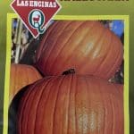 Semillas de Zapallo Halloween