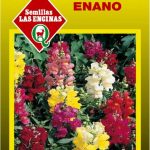 Semillas de Cartucho Enano