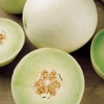 Melón Tam Dew, Tuna Cáscara Jaspeada 500 Grs