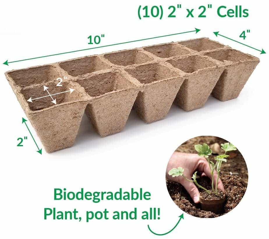 Bandeja Almaciguera Biodegradable 10 Cavidades