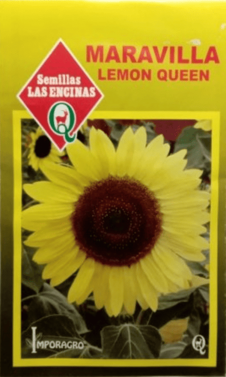 Semillas de Girasol Maravilla Lemon Queen 