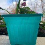 Macetero Cuadrado Turquesa 15 Cm