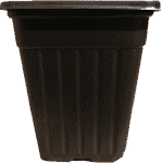 Macetero Cuadrado Negro 1.1 Litro