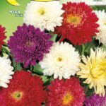 Semillas De Coronado Princesa Mix