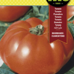 Semillas Fitó de Tomate Marmande Cuarenteno