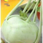 Semillas De Repollo Nabo De Viena Blanco