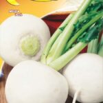 Semillas De Nabo De Bola De Nieve