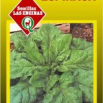 Semillas de Espinaca