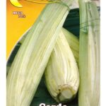 Semillas De Cardo Gigante De Romagna