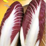 Semillas De Achicoria Roja De Treviso 2