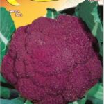 Semillas De Coliflor Violeta Siciliana