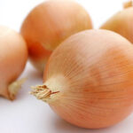 Cebolla Density de guarda Profesional 500 Grs