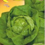 Semillas De Lechuga Santa Anna