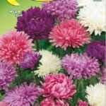 Semillas De Coronado Gigante California Mix