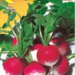 Semillas De Rábano Nacional 2