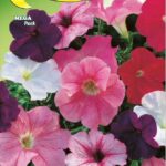 Semillas De Petunia Grandiflora Mix