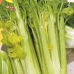 Semillas De Apio Dorado De Asti